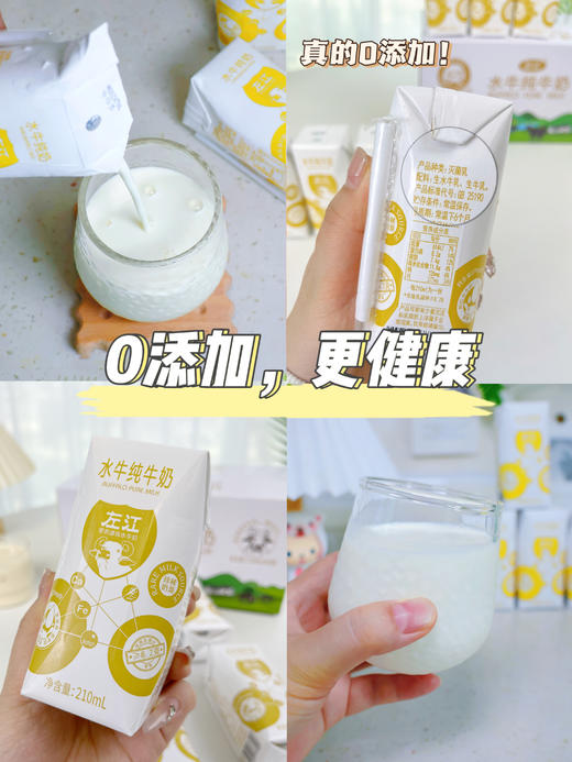100%的纯水牛乳. 0️⃣添加！口感丝滑醇厚还带着甘甜的水牛奶🥛 商品图3