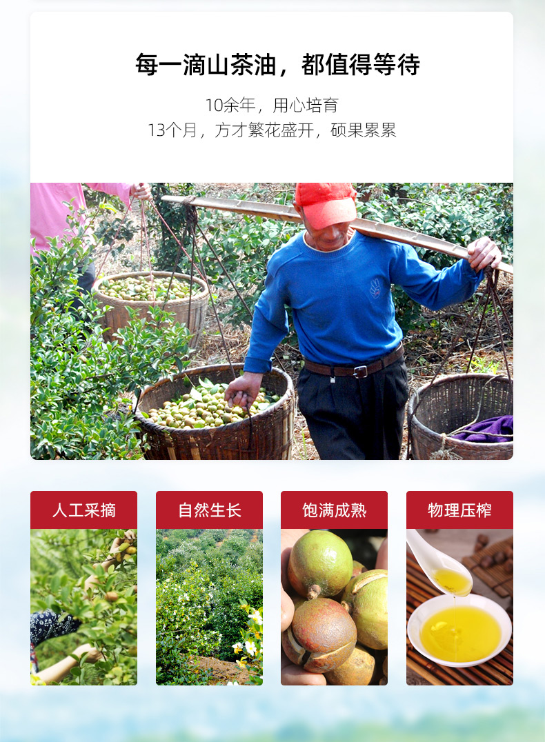 有机压榨_13.jpg