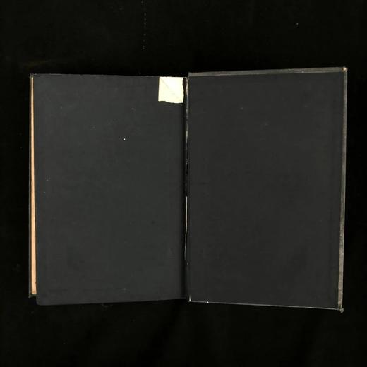 1897年 西蒙兹  文艺复兴时期的意大利艺术 漆布精装32开 商品图3