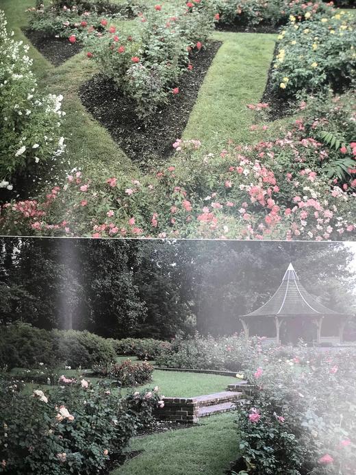 植物世界：密苏里植物园图集 158幅插图（125幅彩色） 精装大16开 商品图13