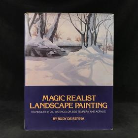 魔幻现实主义风景画 32幅彩色150幅黑白插图 精装16开