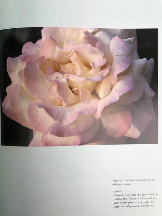 植物世界：密苏里植物园图集 158幅插图（125幅彩色） 精装大16开 商品图6