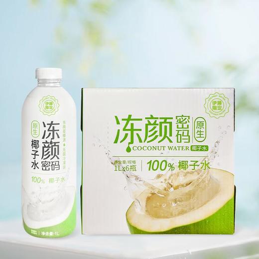 伊藤限定冻颜密码椰子水1L*6（整件） 商品图4