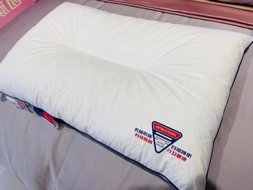 芙瑞缇防螨抗菌羽丝绒对枕 商品图0