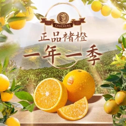 褚橙（优级果）约500G /份 /份 商品图0