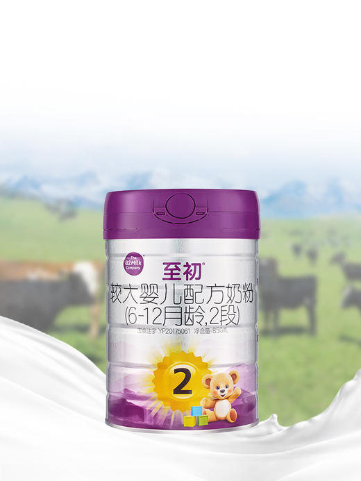 新国标2段850g | 配方升级A2至初 婴幼儿配方奶粉二段 6-12月 商品图4