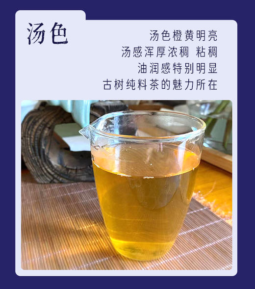生普 | 洪海古树 2020年班盆 300年已上古树 头春散茶 50g/罐 商品图2