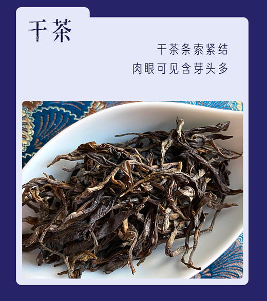 生普 | 洪海古树 2020年班盆 300年已上古树 头春散茶 50g/罐 商品图1
