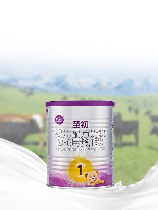 新国标1段400g | 配方升级A2至初 婴幼儿配方奶粉一段 0-6月 商品图2