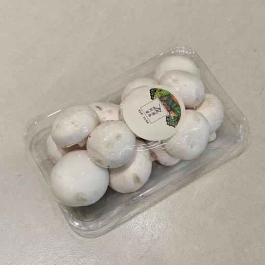“阿德童年”白蘑菇 250g/盒 商品图0