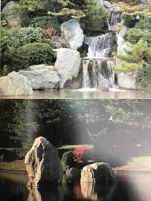 植物世界：密苏里植物园图集 158幅插图（125幅彩色） 精装大16开 商品图12