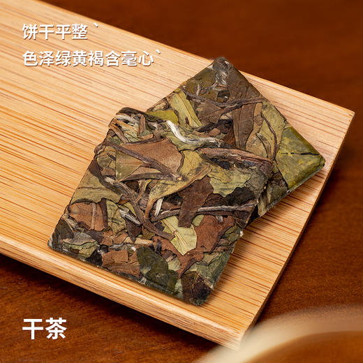 福鼎白茶春寿眉饼干茶2021年春寿眉紧压饼干茶50g*2盒 商品图1