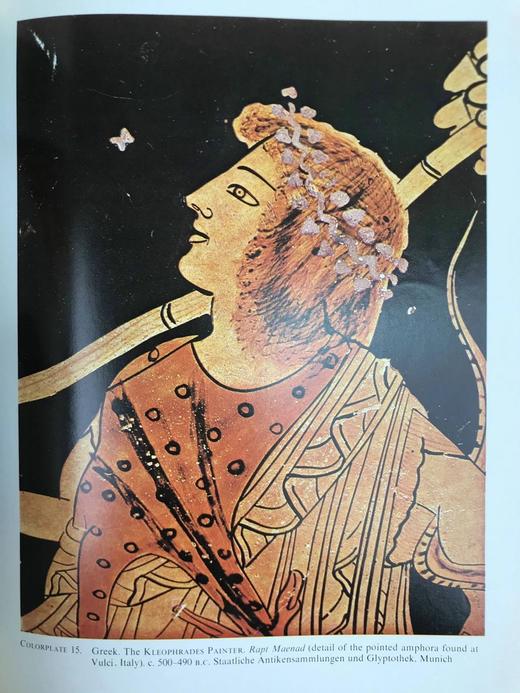 哈特艺术史（卷1） 597幅插图（71幅彩色） 精装16开 商品图13