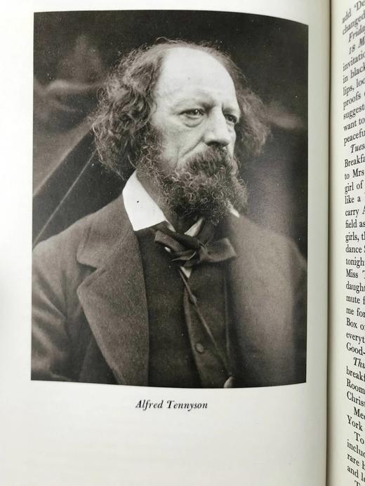 爱尔兰诗人威廉·阿林汉姆日记（1990） 15幅插图 精装16开带书匣 商品图8