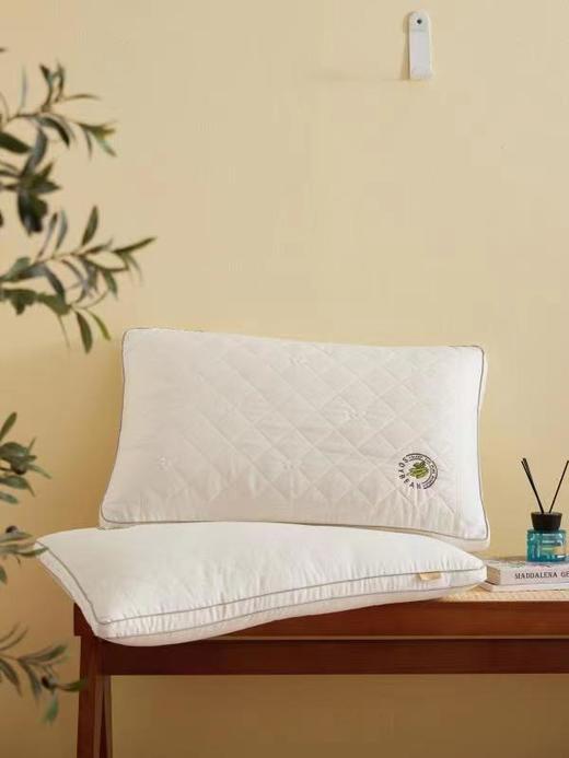 恐龙沁柔蛋白绗缝大豆枕高枕/低枕 商品图0