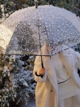 层心层意为您遮蔽风雨的伞 | 我希望你的世界充满阳光，但风雨来时层心层意和你一块