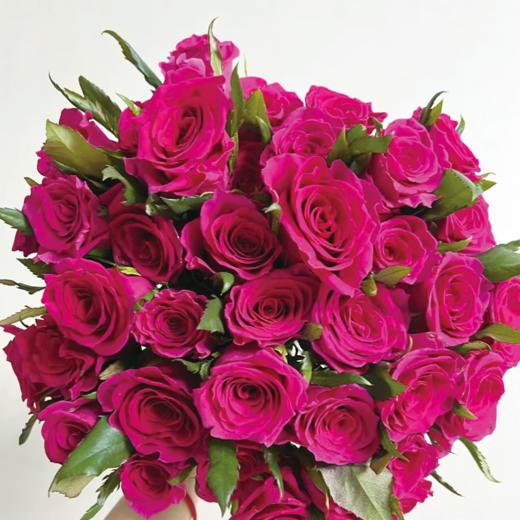 【拍市玫瑰】高盛  20支/扎  玫红色玫瑰  云南基地发货 （价格已包含包装费用） 运费以实际为准，多退少补。 商品图0