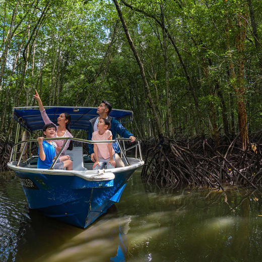 3天2晚【马来西亚安纳塔拉迪沙鲁海岸别墅度假村】寒假/春节可用！享双人下午茶、丰富休闲活动、每日迷你吧及多种贴心福利，免签出行，说走就走，打卡东南亚小众海岛度假地~ 商品图5