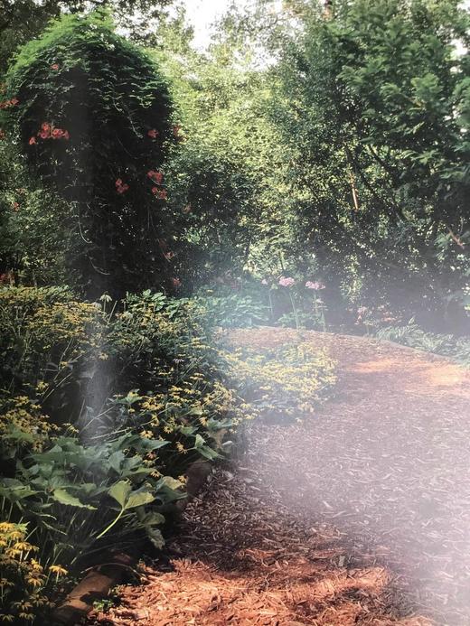 植物世界：密苏里植物园图集 158幅插图（125幅彩色） 精装大16开 商品图9