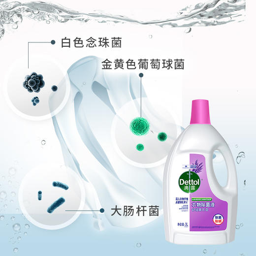 Dettol滴露薰衣草香衣物除菌液3升 商品图5