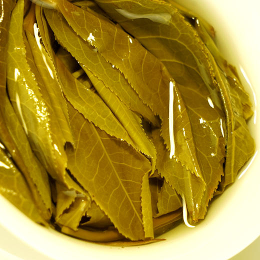 【限时回馈】【大师手作—绿水塘】2018年头春头采五年珍藏临沧小众茶的天花板 采用宣哥独创制茶工艺 荣誉好茶 量少珍惜 商品图5