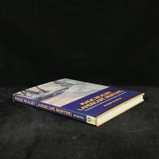 魔幻现实主义风景画 32幅彩色150幅黑白插图 精装16开 商品图1