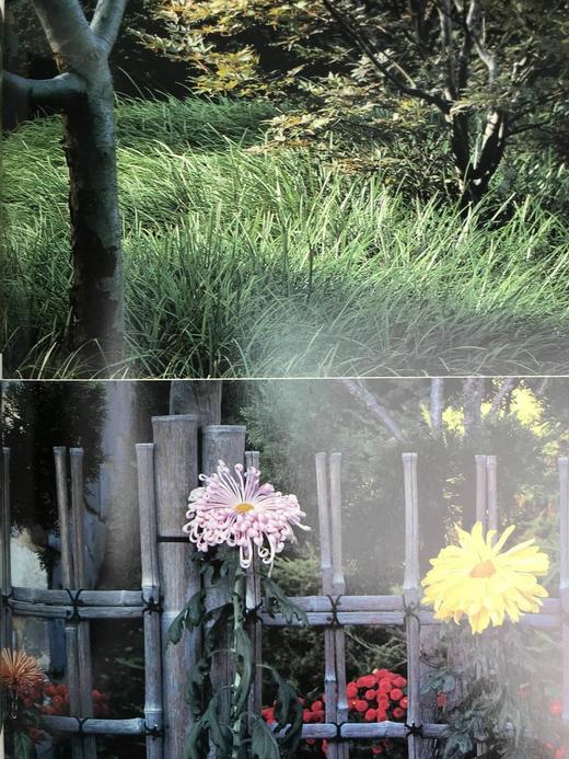 植物世界：密苏里植物园图集 158幅插图（125幅彩色） 精装大16开 商品图10