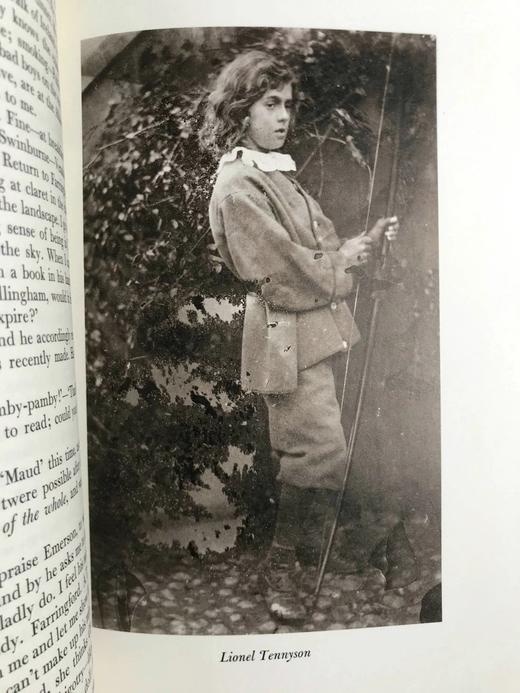 爱尔兰诗人威廉·阿林汉姆日记（1990） 15幅插图 精装16开带书匣 商品图11