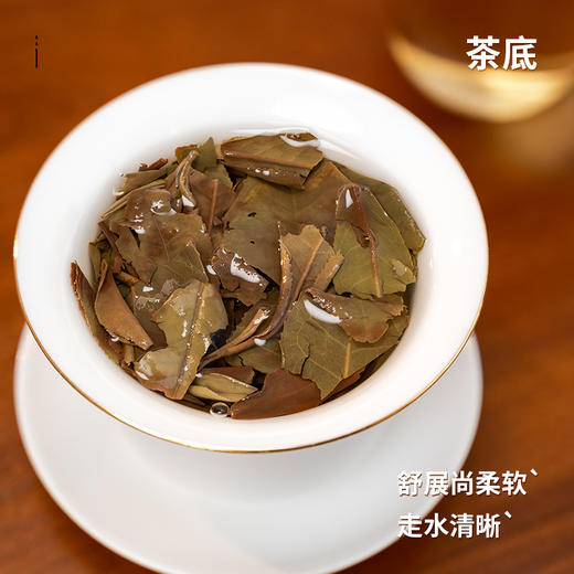 福鼎白茶春寿眉饼干茶2021年春寿眉紧压饼干茶50g*2盒 商品图3