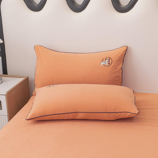 【品牌直发】加倍生活 云锦舒眠四件套 细腻柔软  素色加厚 四季通用  不易褶皱 商品图6