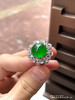 玻璃种木那艳绿蛋面戒指【3291211】具体价格微信咨询 商品缩略图3