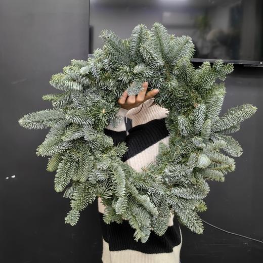 圣诞节诺贝松花环圣诞花环（裸圈）批发预定 商品图3