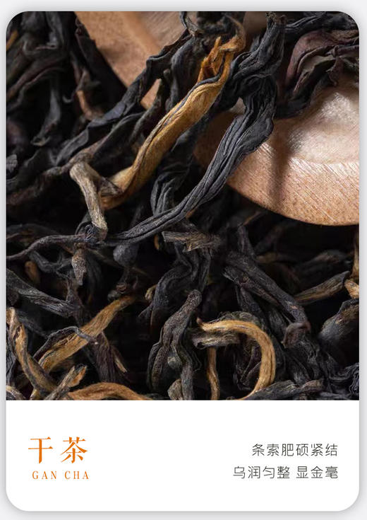 滇红 |  2024年 凤宁号 百年古树滇红 100g/罐 商品图1