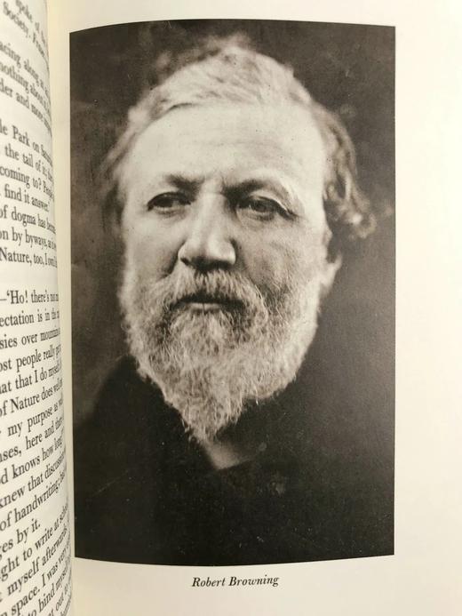 爱尔兰诗人威廉·阿林汉姆日记（1990） 15幅插图 精装16开带书匣 商品图7