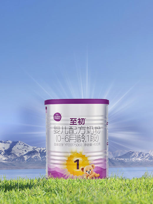 新国标1段400g | 配方升级A2至初 婴幼儿配方奶粉一段 0-6月 商品图1