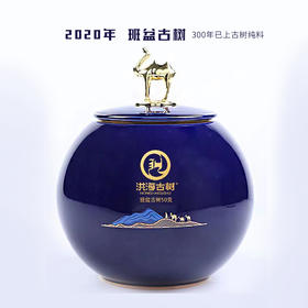 生普 | 洪海古树 2020年班盆 300年已上古树 头春散茶 50g/罐