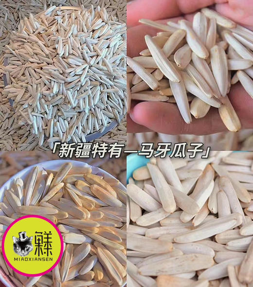 🛵新疆马牙瓜子金装500g/袋 商品图6