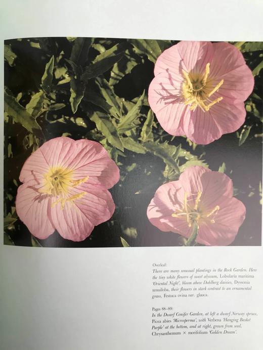 植物世界：密苏里植物园图集 158幅插图（125幅彩色） 精装大16开 商品图14