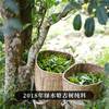 【限时回馈】【大师手作—绿水塘】2018年头春头采五年珍藏临沧小众茶的天花板 采用宣哥独创制茶工艺 荣誉好茶 量少珍惜 商品缩略图1