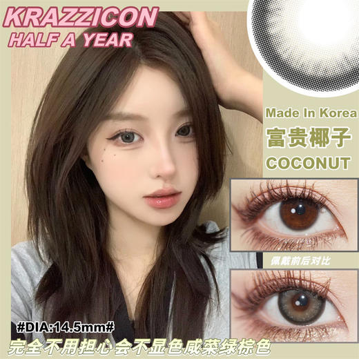KrazziCon 富贵椰子（半年抛） 商品图0