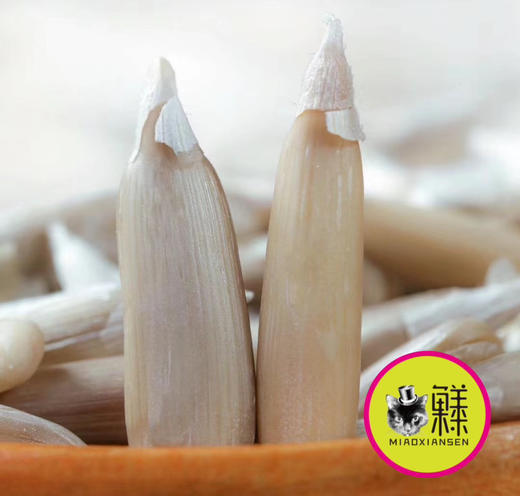 🛵新疆马牙瓜子金装500g/袋 商品图4