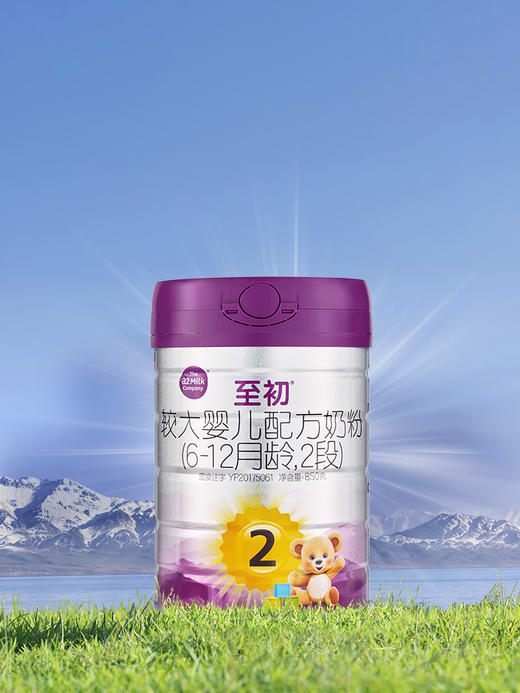 新国标2段850g | 配方升级A2至初 婴幼儿配方奶粉二段 6-12月 商品图1