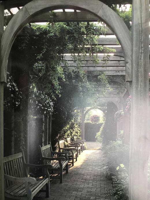 植物世界：密苏里植物园图集 158幅插图（125幅彩色） 精装大16开 商品图7