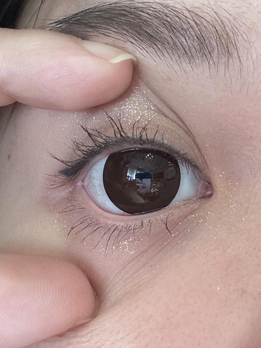 Toffee日抛--巧可喵 商品图2