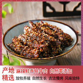 手撕牛肉干（0添加）