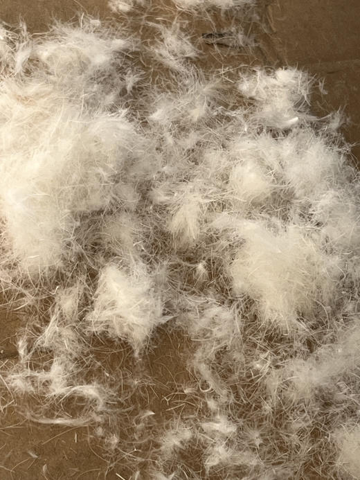 个位数库存断码！【U家同厂无缝系列短款羽绒服】经典百搭5色可选！充绒量足90优质白鸭绒！3D锁绒工艺，解决跑绒钻绒烦恼，锁温力MAX！外层高密度的纤维面料、防风！防水！防污！ 商品图12