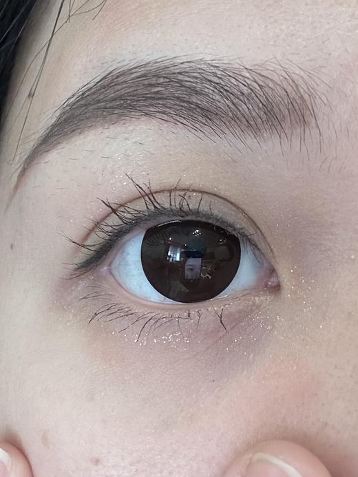 Toffee日抛--巧可喵 商品图9