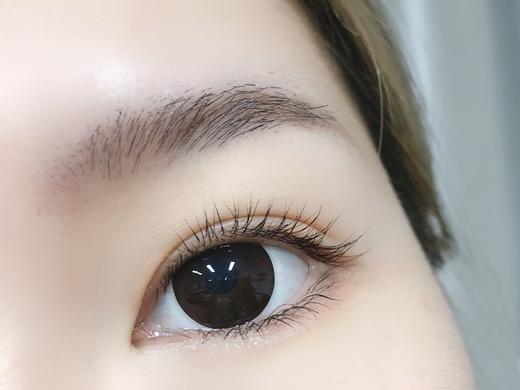 Toffee日抛--巧可喵 商品图10