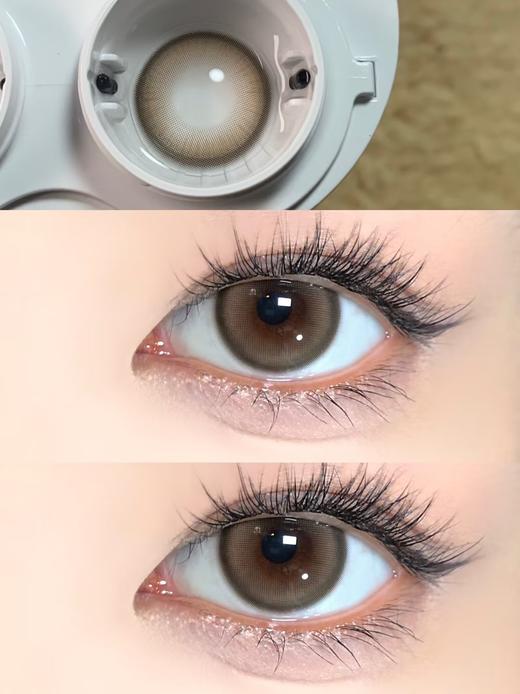 Toffee日抛--童颜小鹿 商品图3