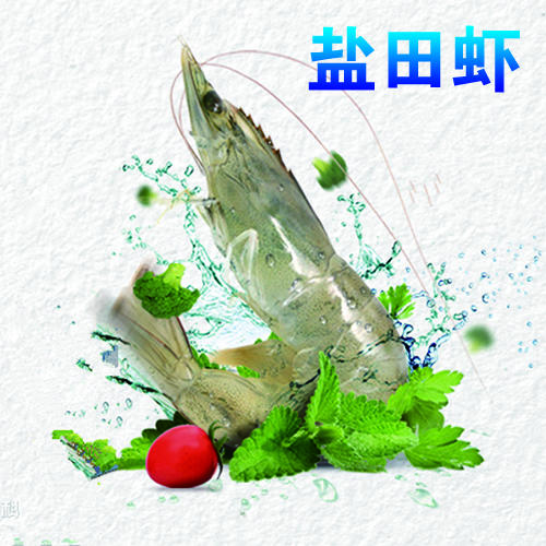 预售 预计12月15日发货「自营」盐田虾 百年盐池生长 高虾青素 商品图1